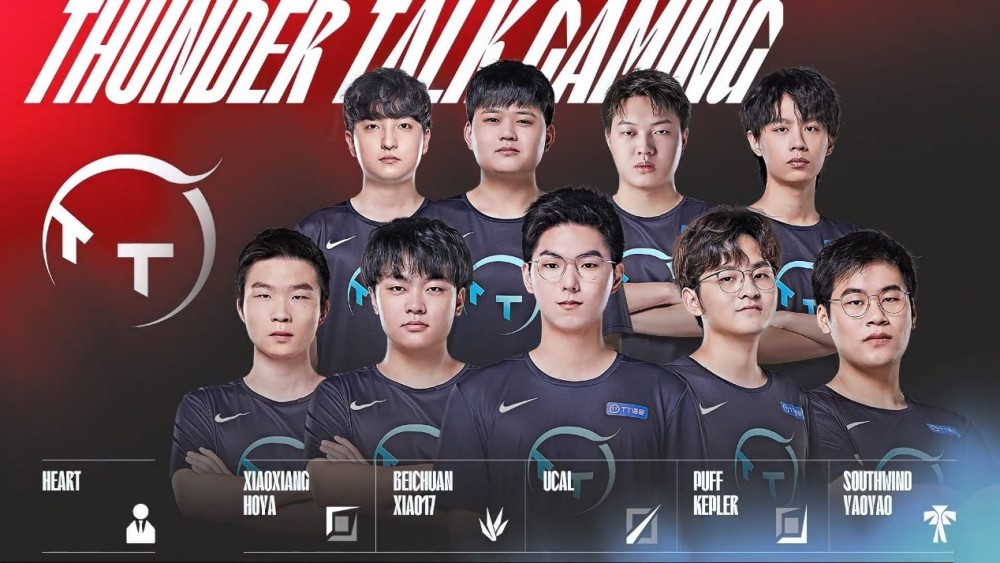 仅是优质的 仅是优质的